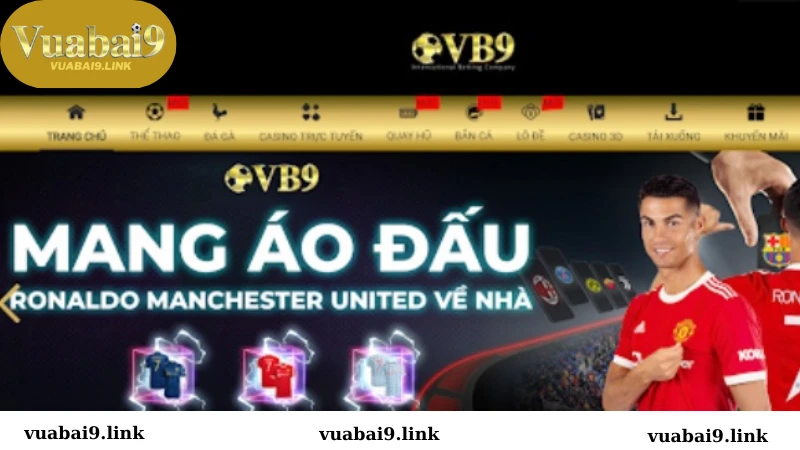 Giới thiệu tổng quan về nhà cái Vuabai9